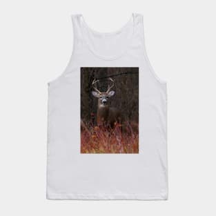 Young Buck - portrait - White-tailed Deer Tank Top